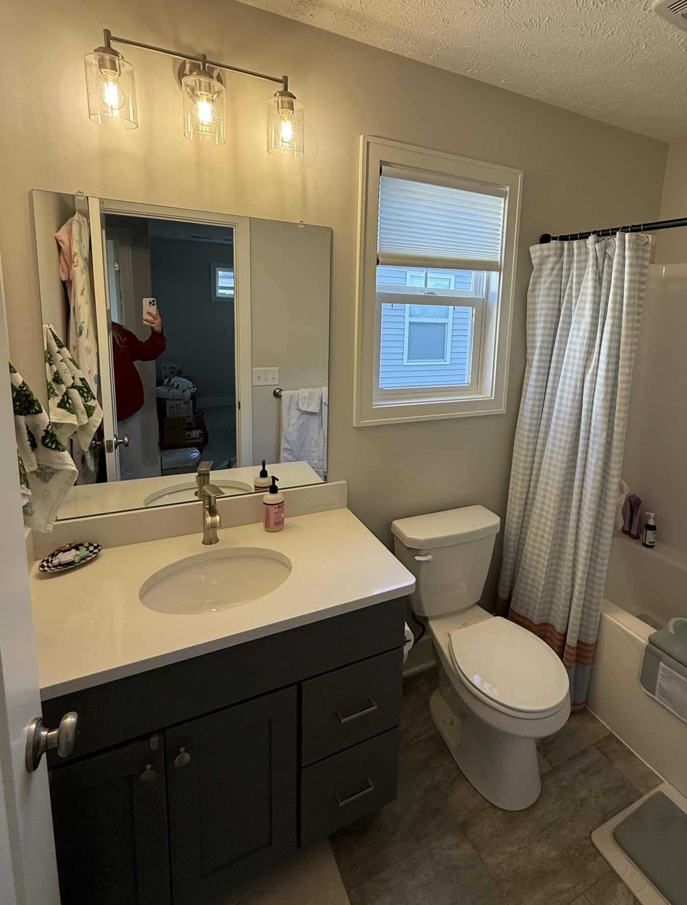 Bathroom before custom mural and cabinet refinishing, Grand Rapids